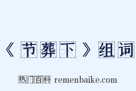 《节葬下》组词是什么意思的图片